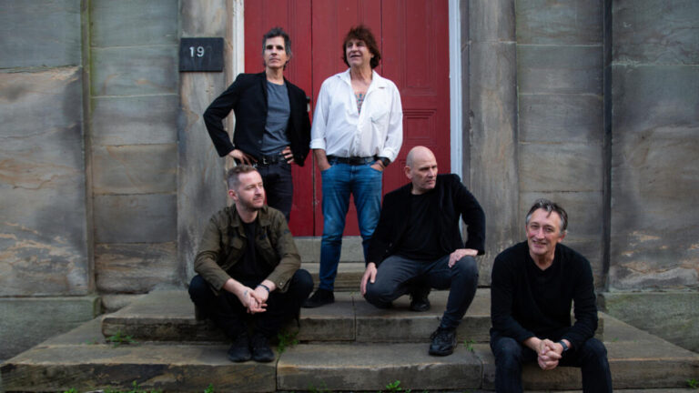 Chameleons 2 credit Helen Millington